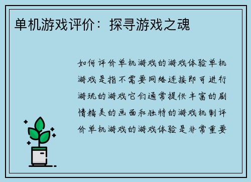 单机游戏评价：探寻游戏之魂