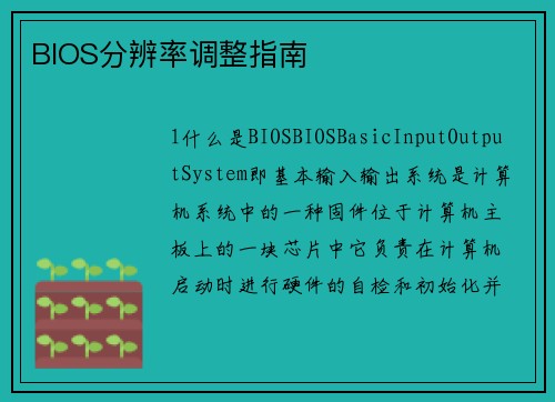 BIOS分辨率调整指南