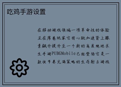 吃鸡手游设置