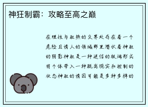 神狂制霸：攻略至高之巅