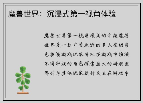 魔兽世界：沉浸式第一视角体验